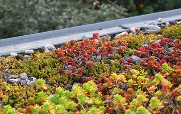 the cost of Donington Le Heath green roof installation