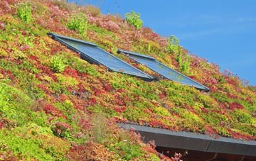 Donington Le Heath living roof systems